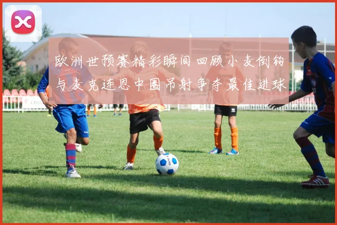 欧洲世预赛精彩瞬间回顾小麦倒钩与麦克连恩中圈吊射争夺最佳进球